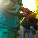 Delano grape strike workers on vineyard